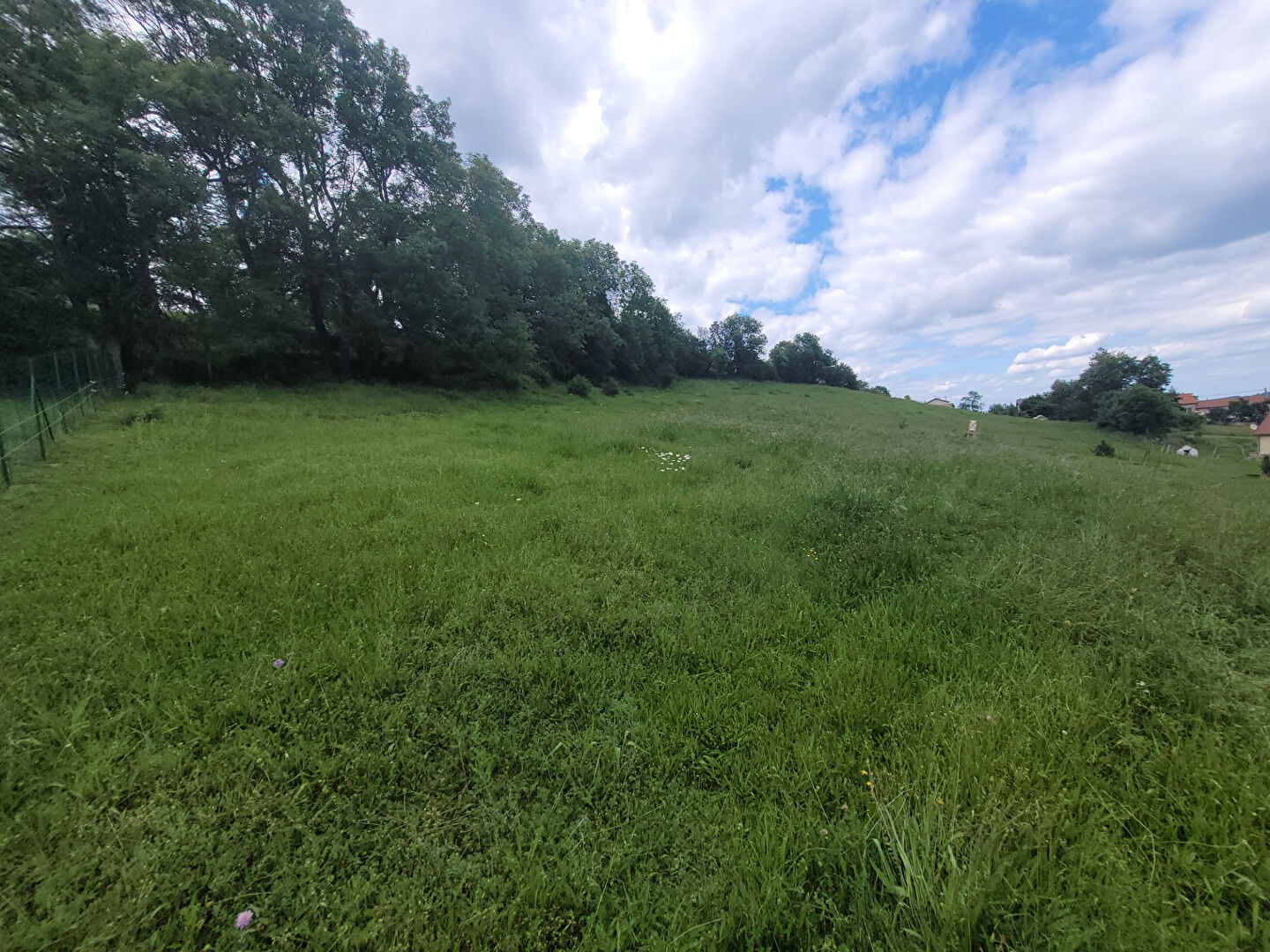 Vente Terrain à Beaux 0 pièce