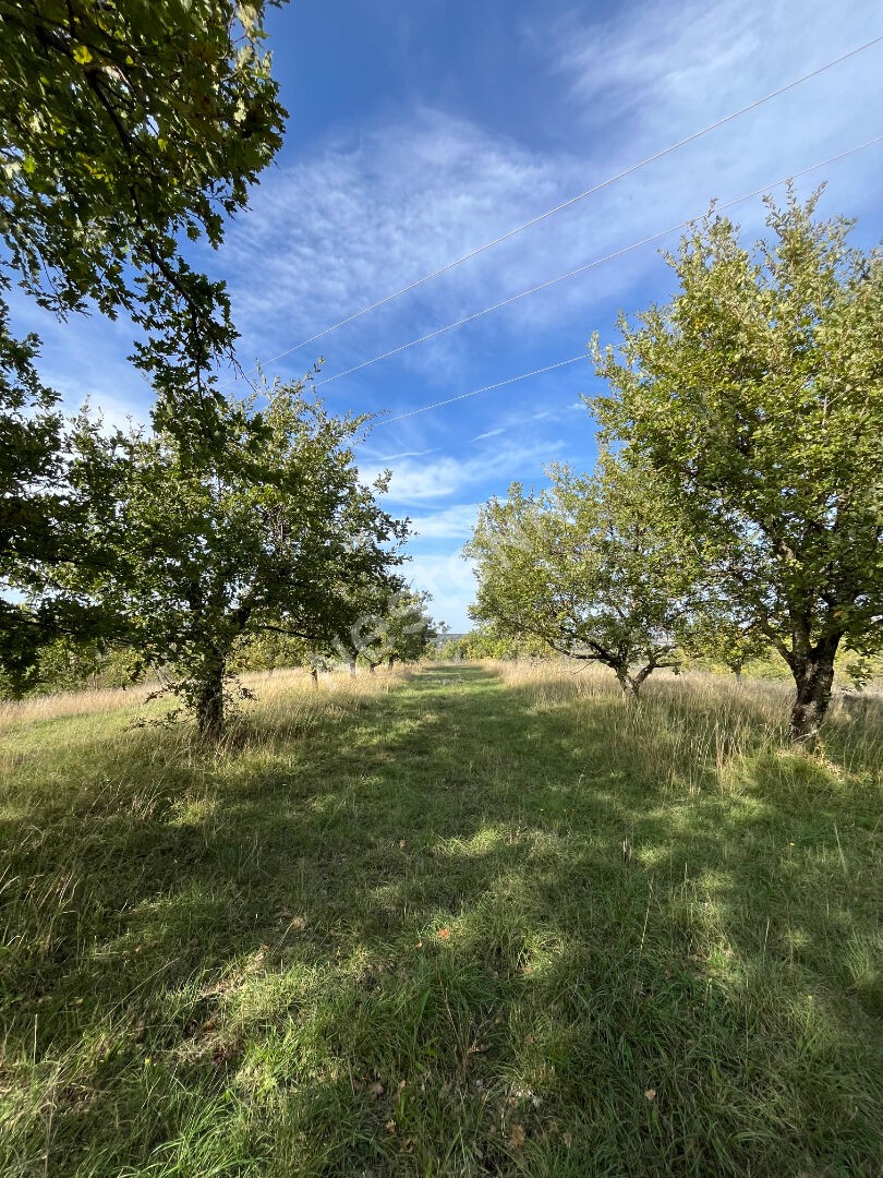 Vente Maison à Grane 16 pièces