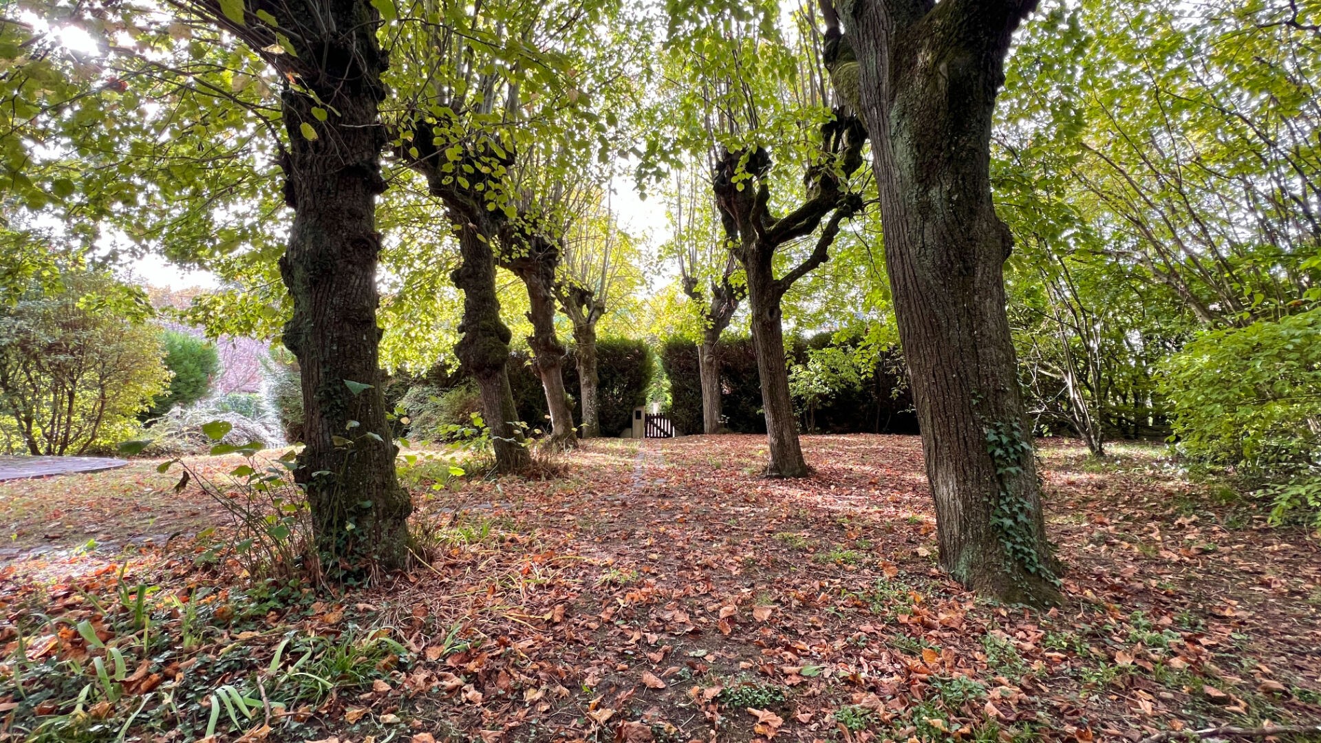 Vente Maison à Saint-Fargeau-Ponthierry 5 pièces