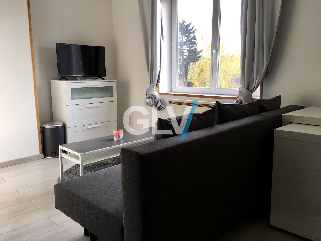 Location Appartement à Lille 1 pièce