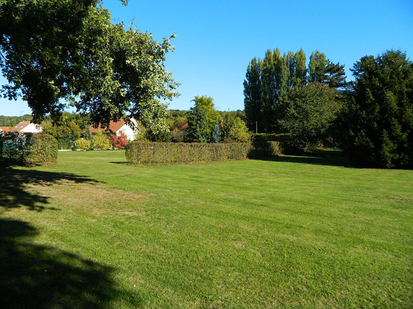 Vente Terrain à Nogent-le-Roi 0 pièce