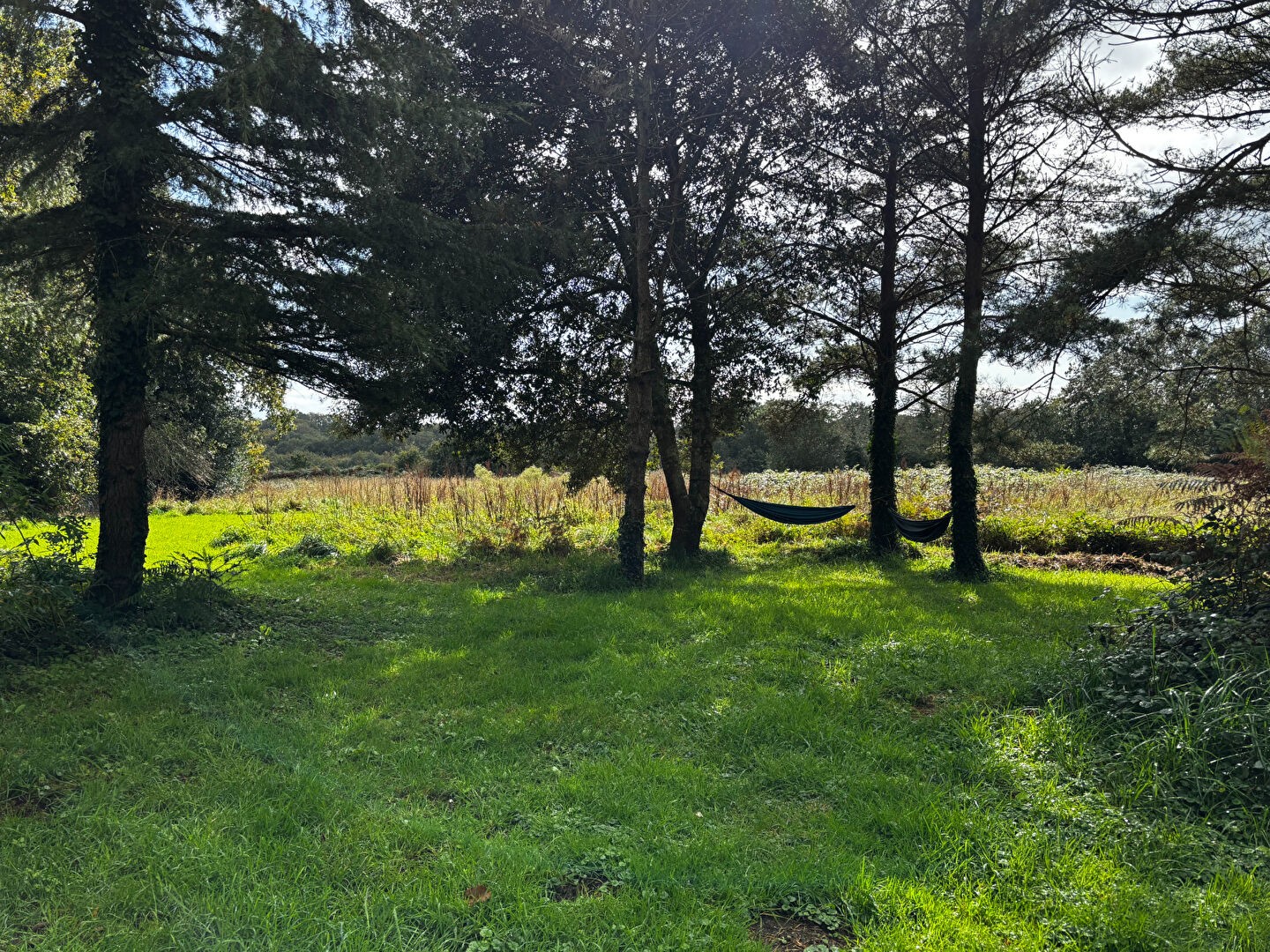 Vente Maison à Pont-Aven 7 pièces