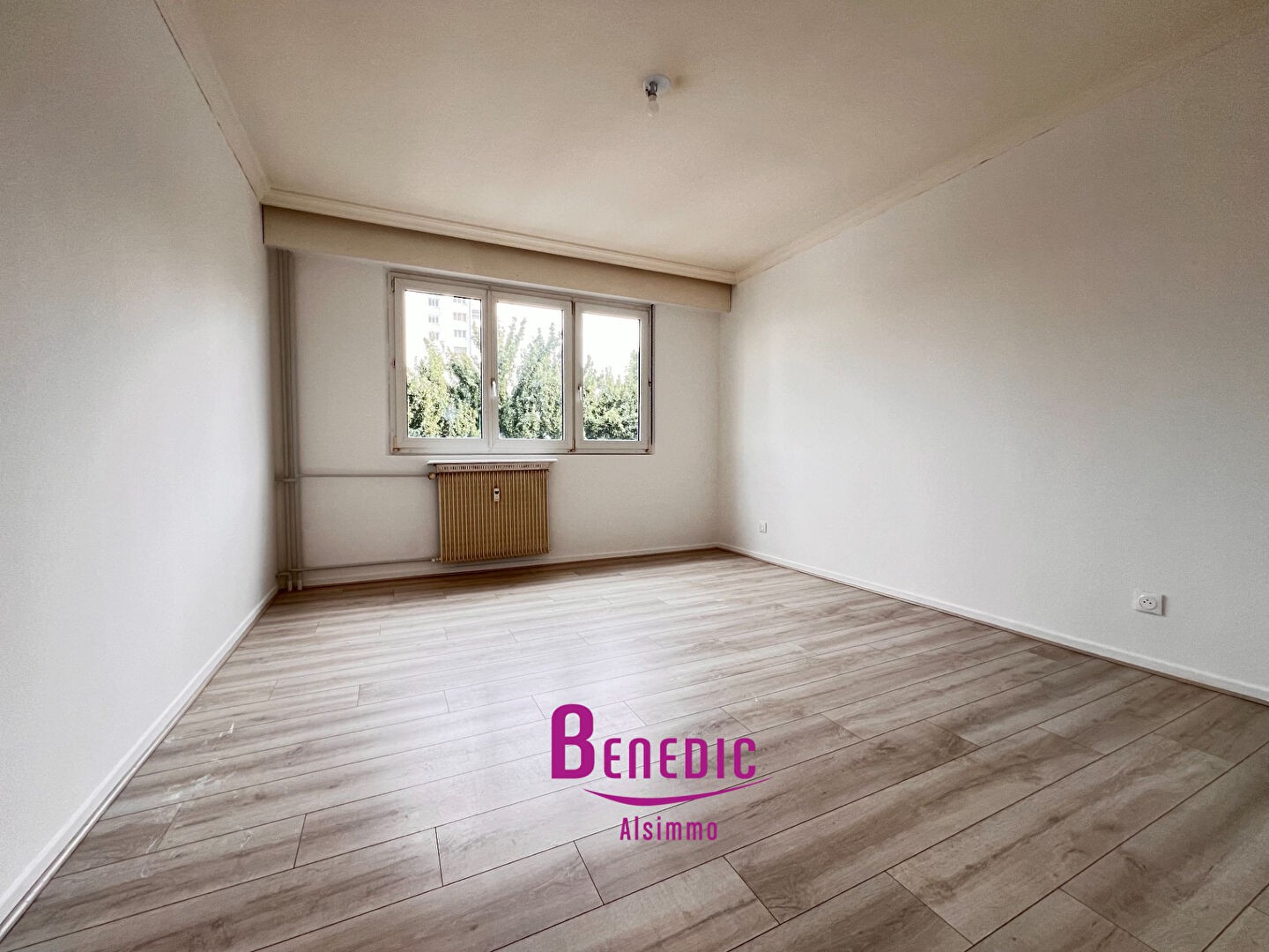 Vente Appartement à Hœnheim 3 pièces