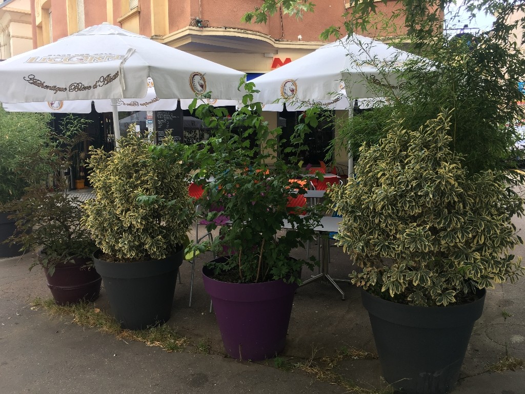 Vente Bureau / Commerce à Metz 0 pièce