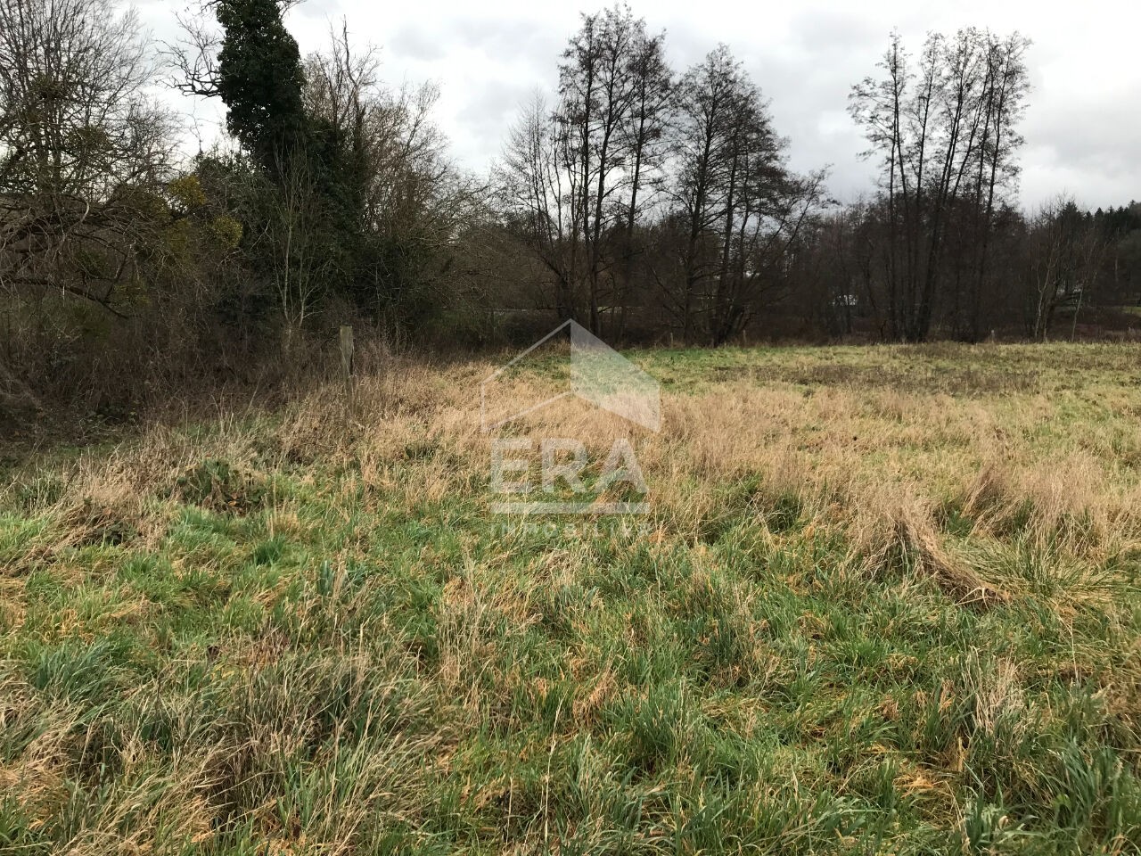 Vente Terrain à Nogent-le-Rotrou 0 pièce