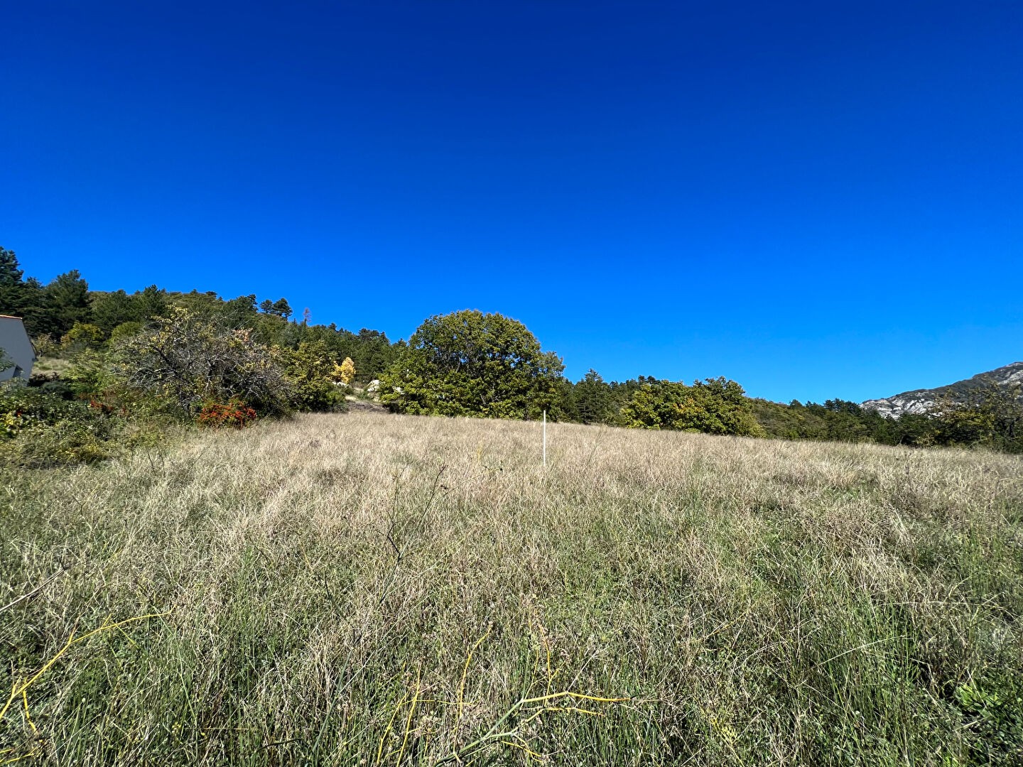 Vente Terrain à Sisteron 0 pièce