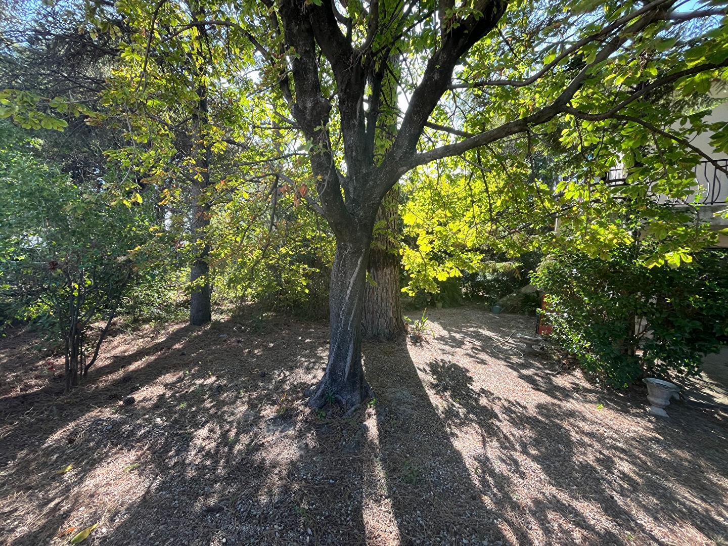 Vente Maison à Avignon 4 pièces