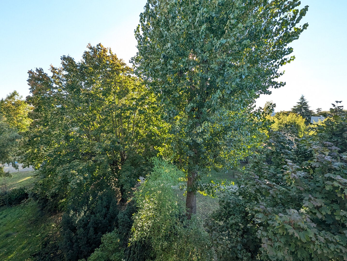 Vente Appartement à Fontenay-sous-Bois 3 pièces