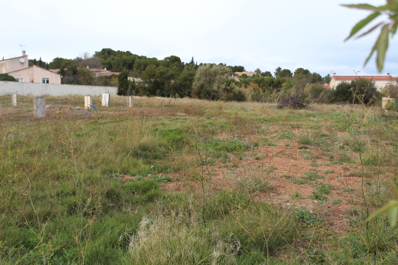 Vente Terrain à Lézignan-Corbières 0 pièce