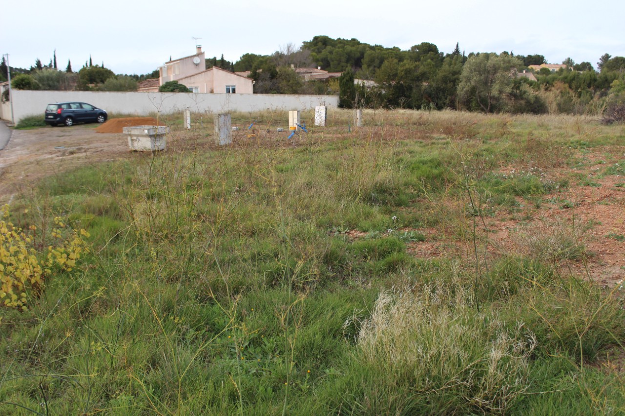 Vente Terrain à Lézignan-Corbières 0 pièce