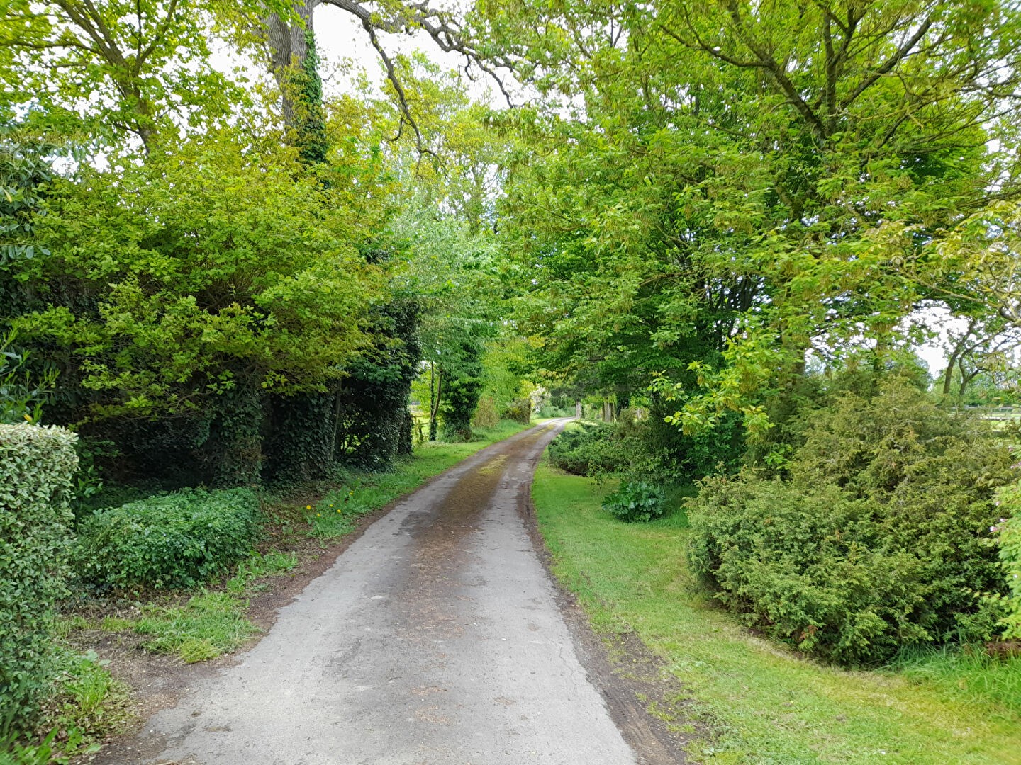 Vente Maison à Château-Gontier 10 pièces