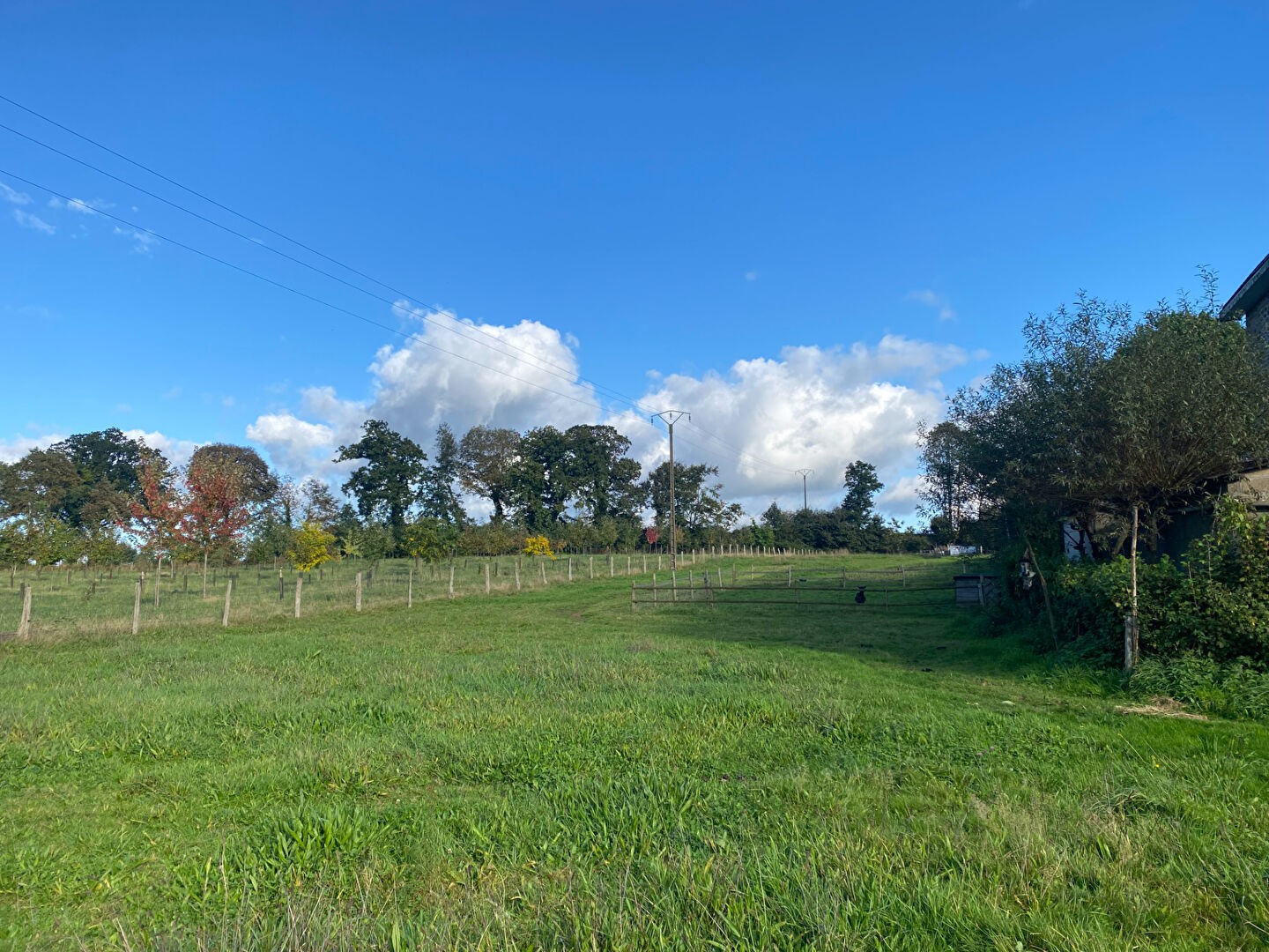 Vente Maison à Saint-Pierre-des-Landes 6 pièces