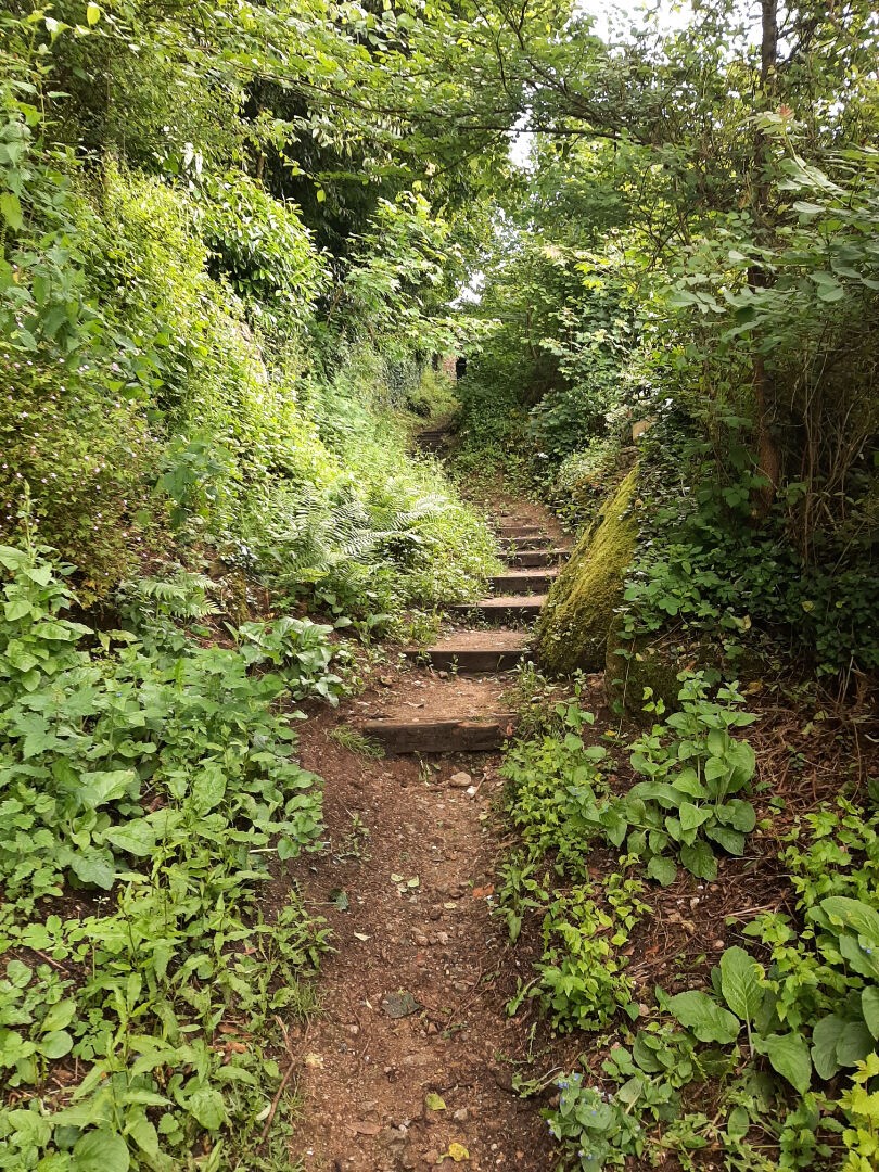 Vente Terrain à Pont-Aven 0 pièce