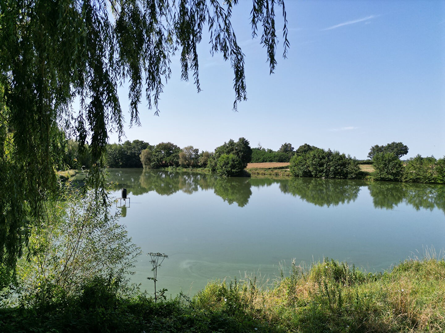 Vente Terrain à Saint-Martin-en-Bresse 0 pièce