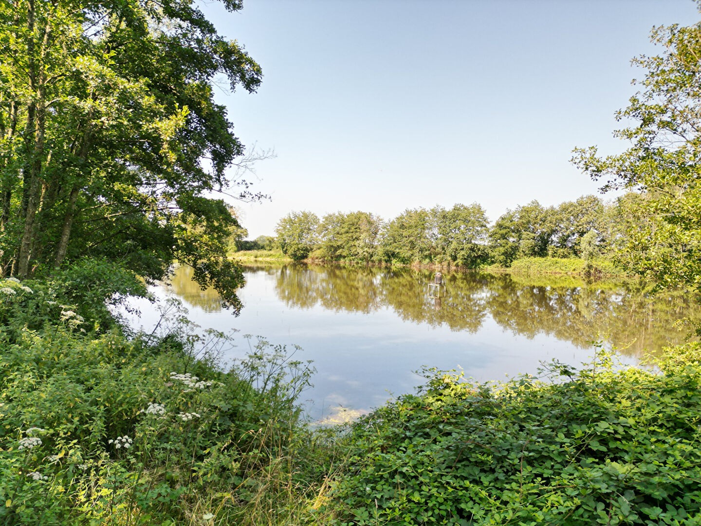 Vente Terrain à Saint-Martin-en-Bresse 0 pièce