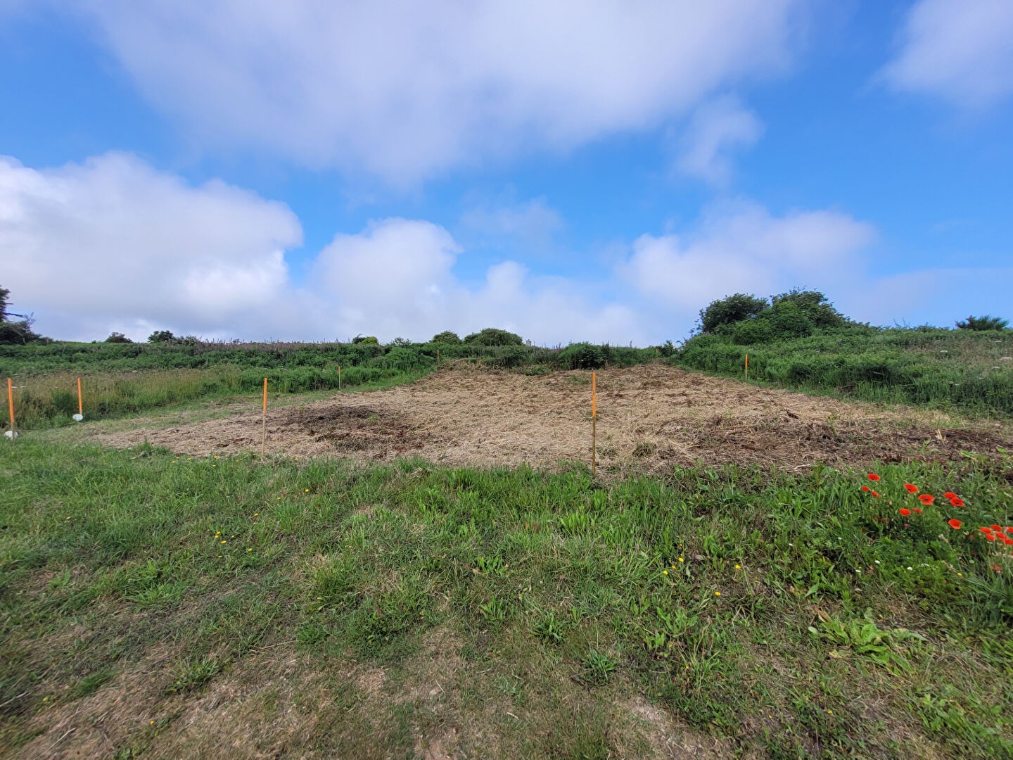 Vente Terrain à Plougasnou 0 pièce