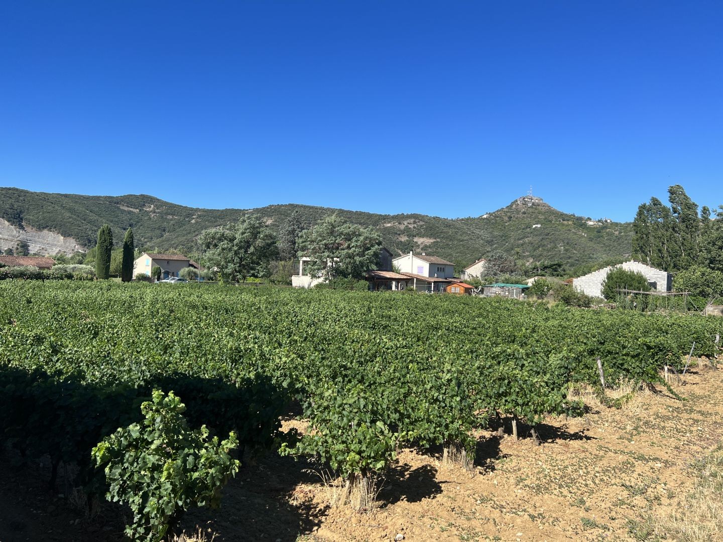 Vente Terrain à Vallon-Pont-d'Arc 0 pièce