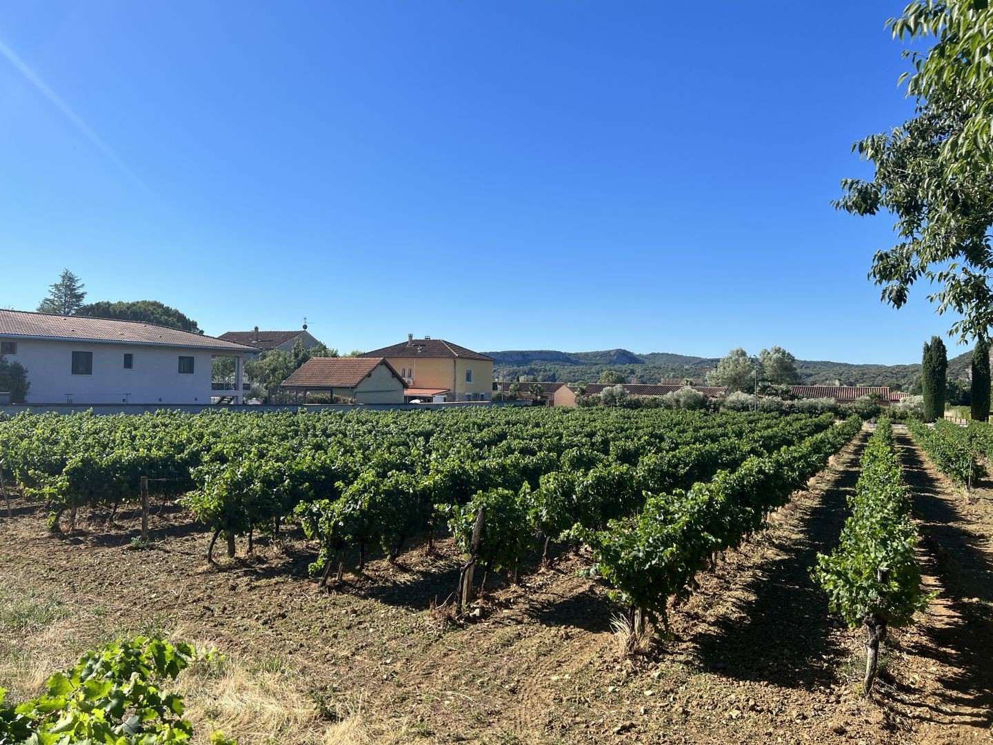 Vente Terrain à Vallon-Pont-d'Arc 0 pièce