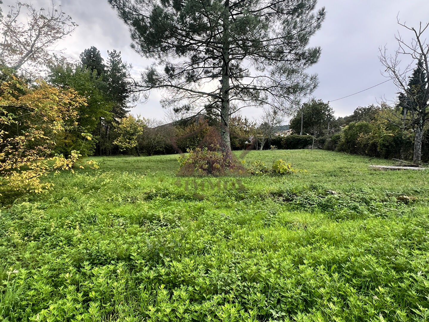 Vente Terrain à Saint-Paul-le-Jeune 0 pièce