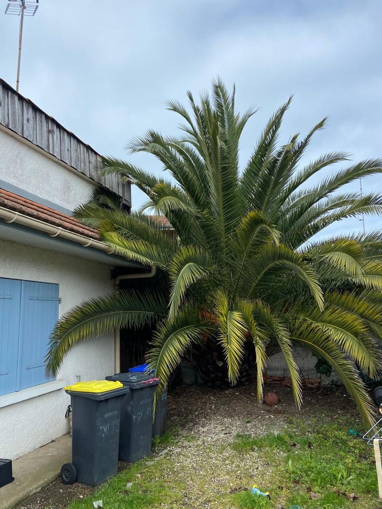 Vente Maison à Lège-Cap-Ferret 4 pièces