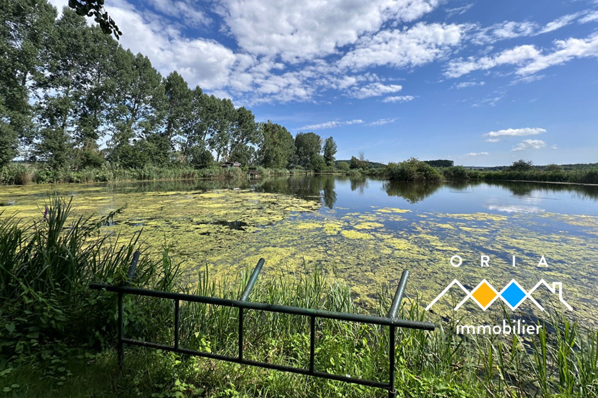 Vente Terrain à Moncel-sur-Seille 0 pièce