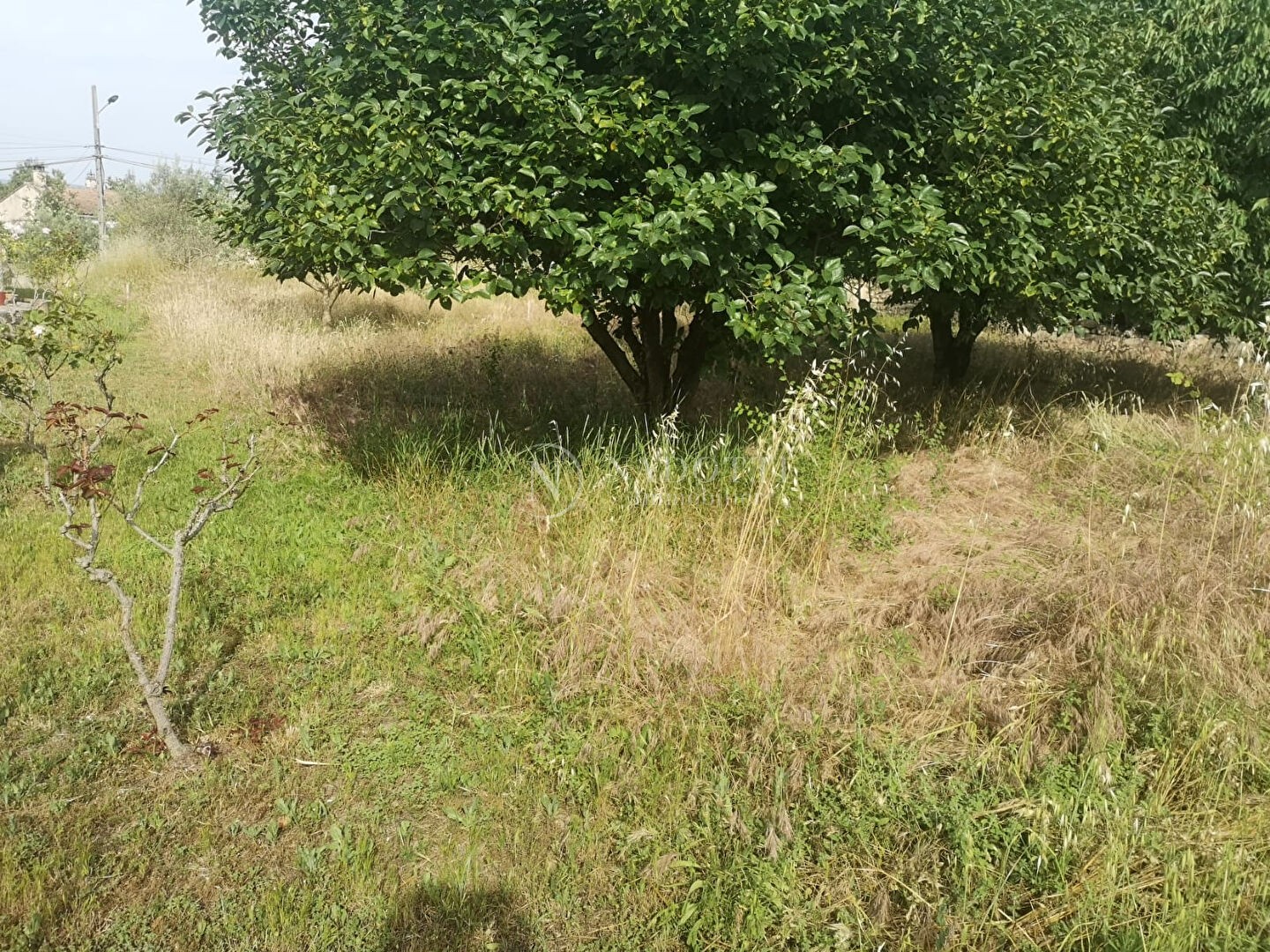 Vente Terrain à Mazan 0 pièce