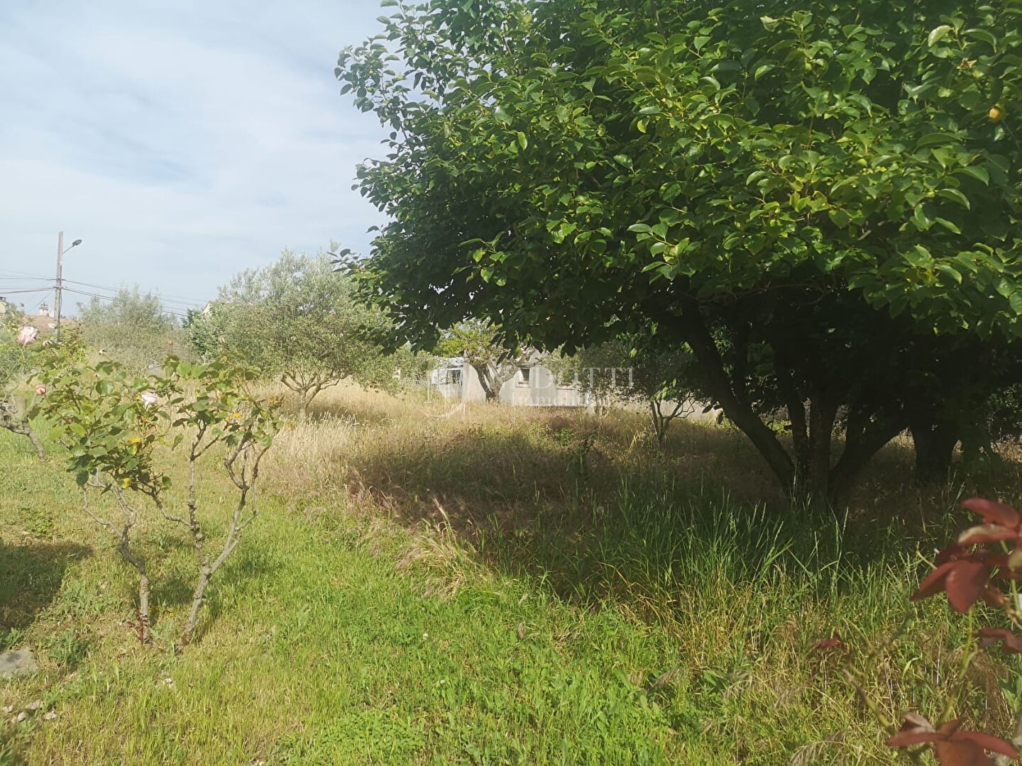 Vente Terrain à Mazan 0 pièce