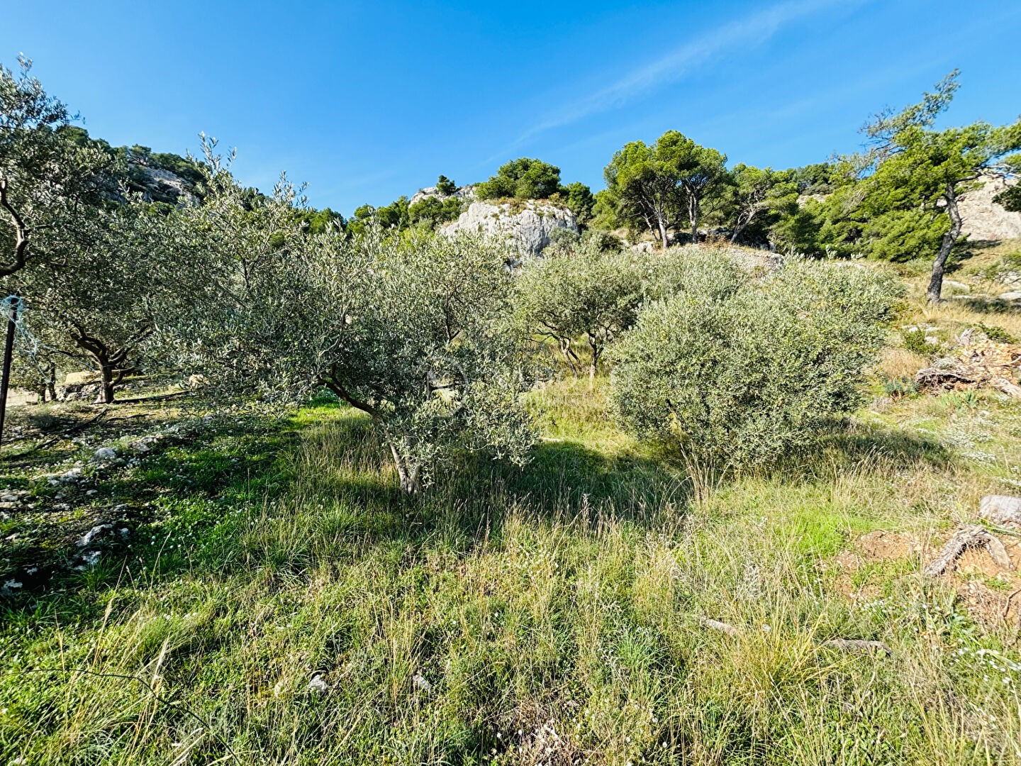 Vente Maison à Cavaillon 5 pièces