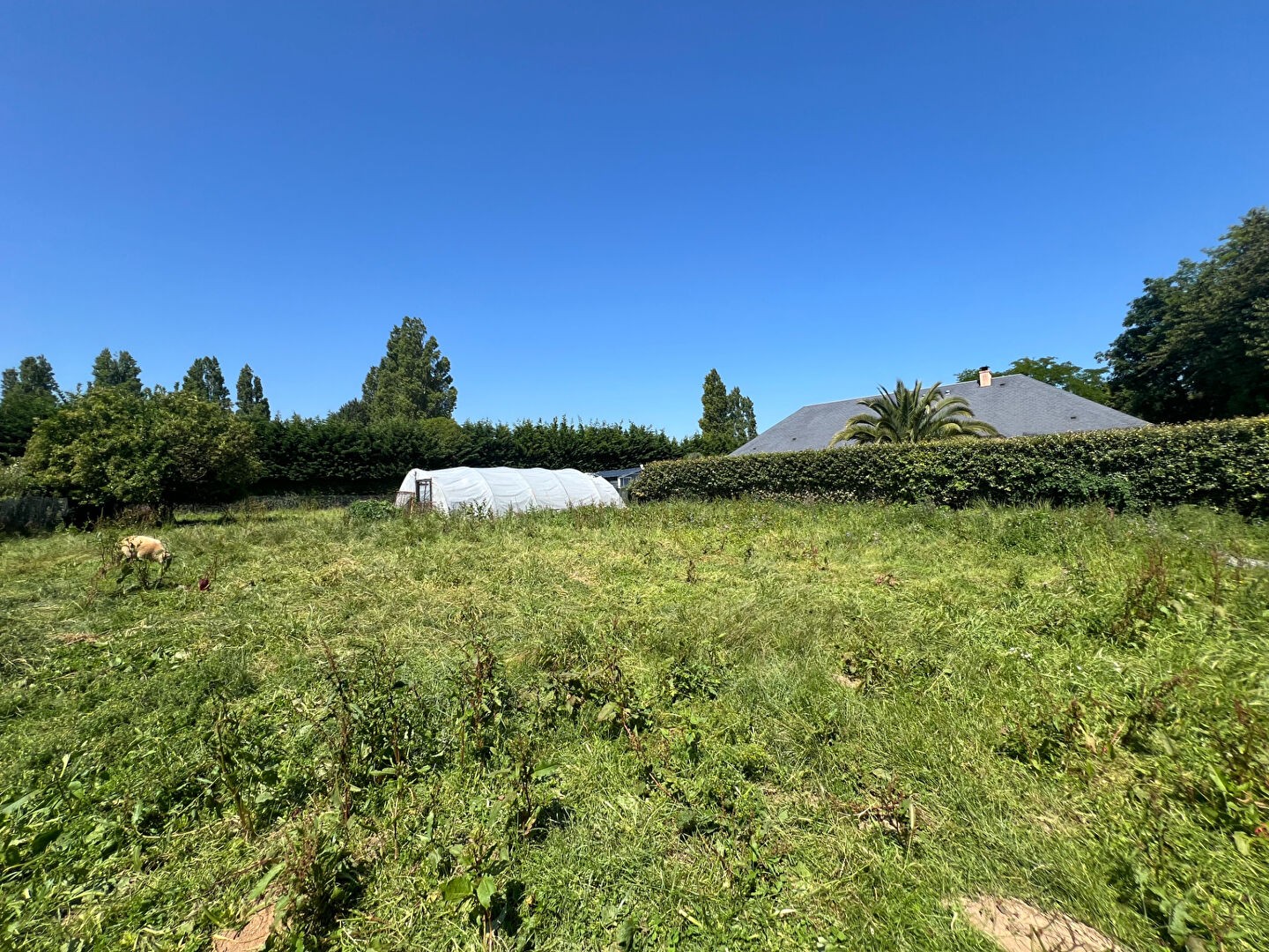 Vente Terrain à Douvres-la-Délivrande 0 pièce