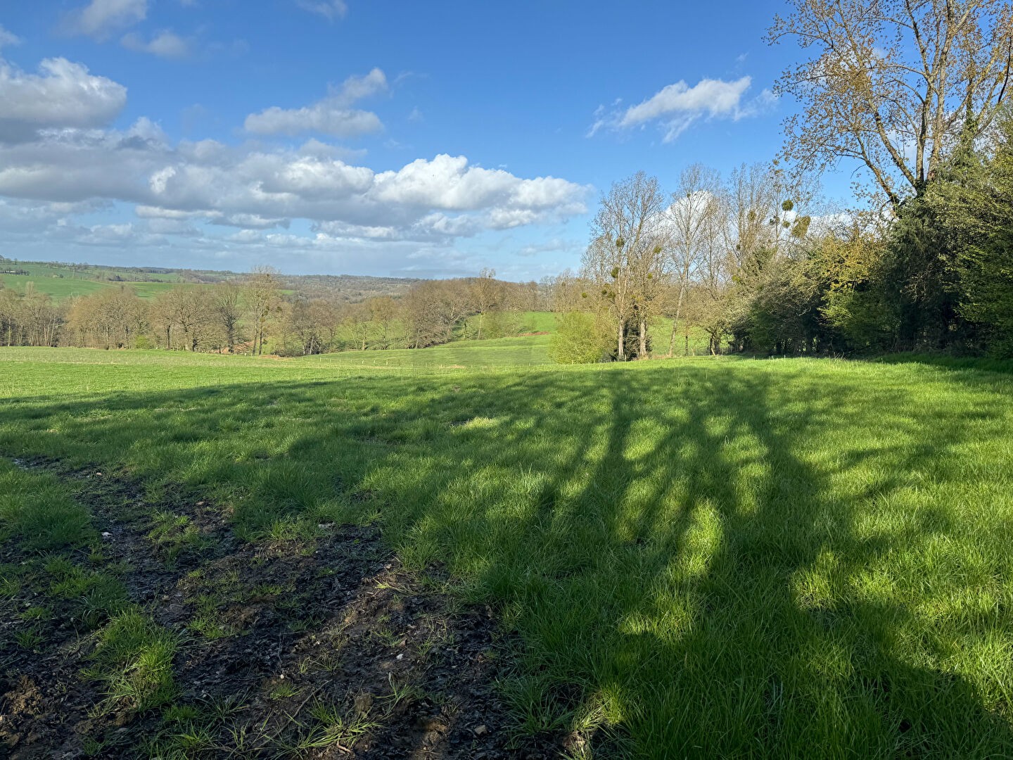 Vente Maison à Domfront 4 pièces