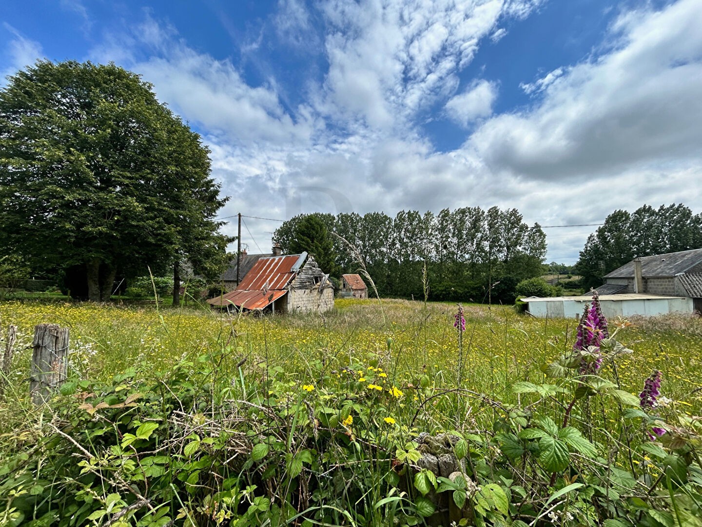 Vente Maison à Flers 1 pièce