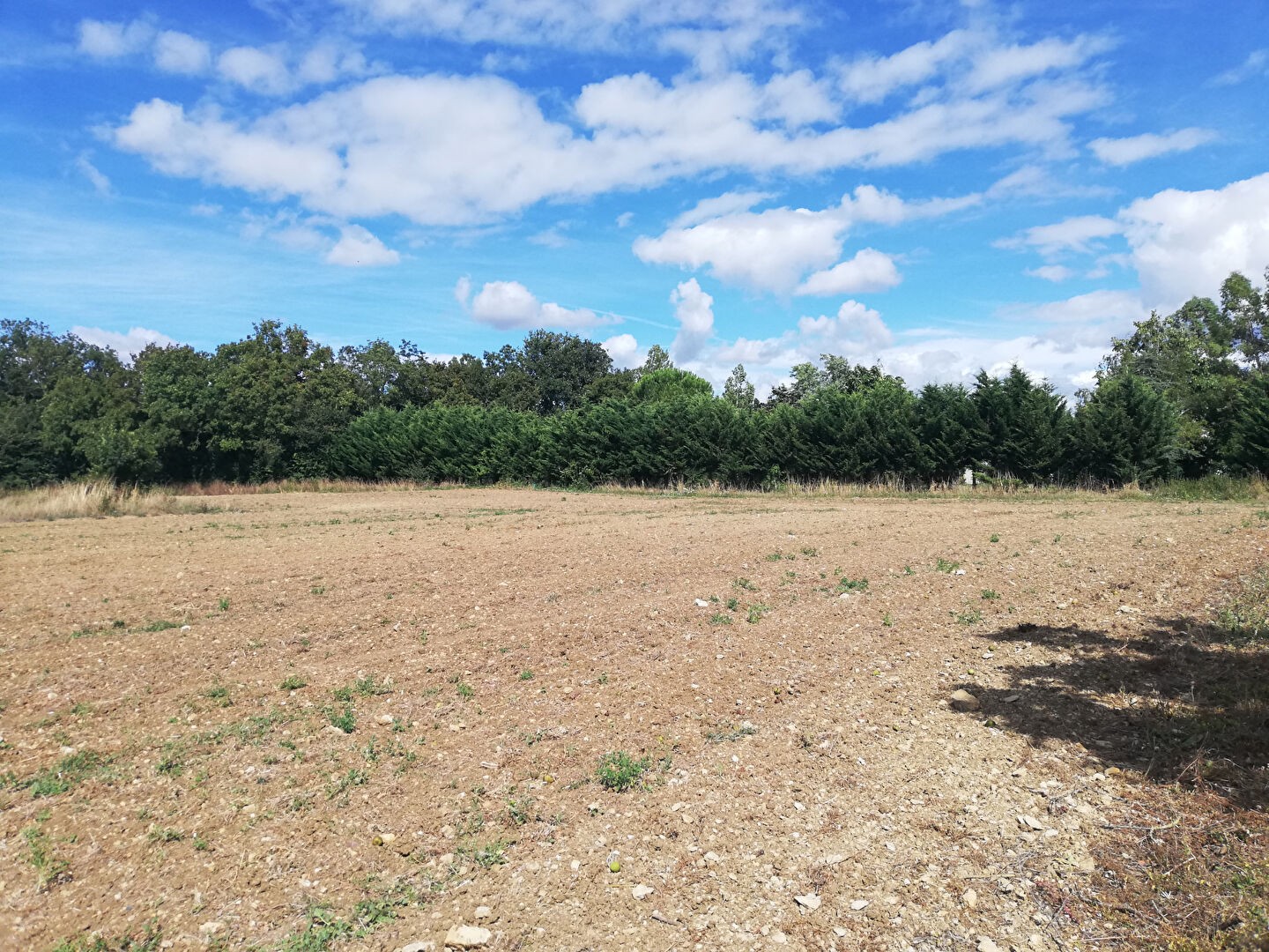 Vente Terrain à Niort 0 pièce