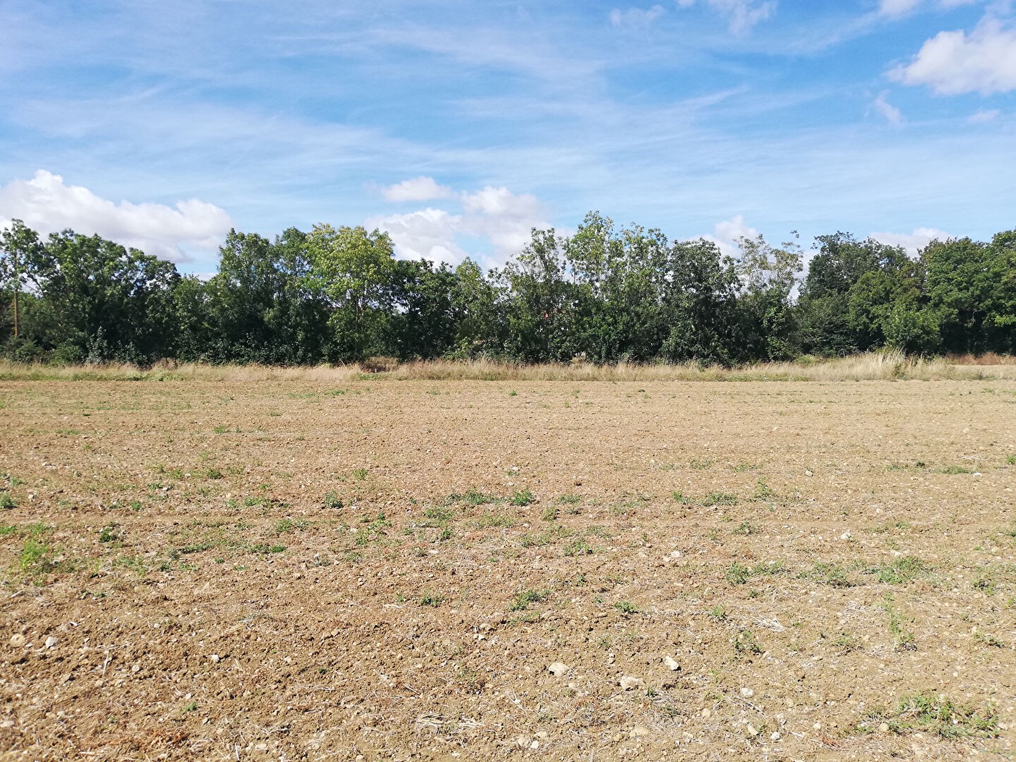 Vente Terrain à Niort 0 pièce