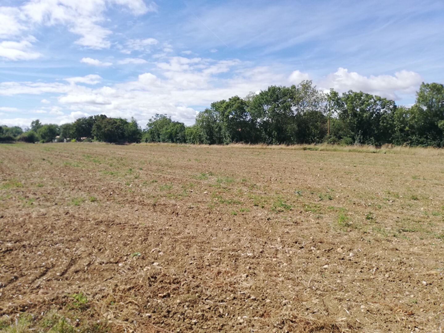 Vente Terrain à Niort 0 pièce