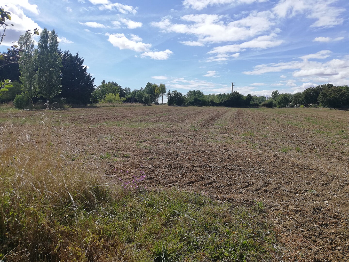 Vente Terrain à Niort 0 pièce