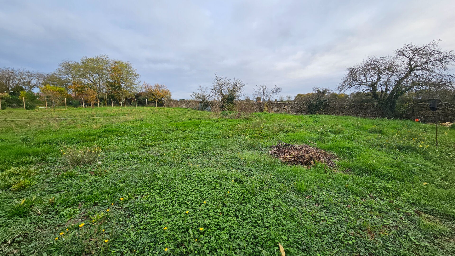 Vente Terrain à Niort 0 pièce