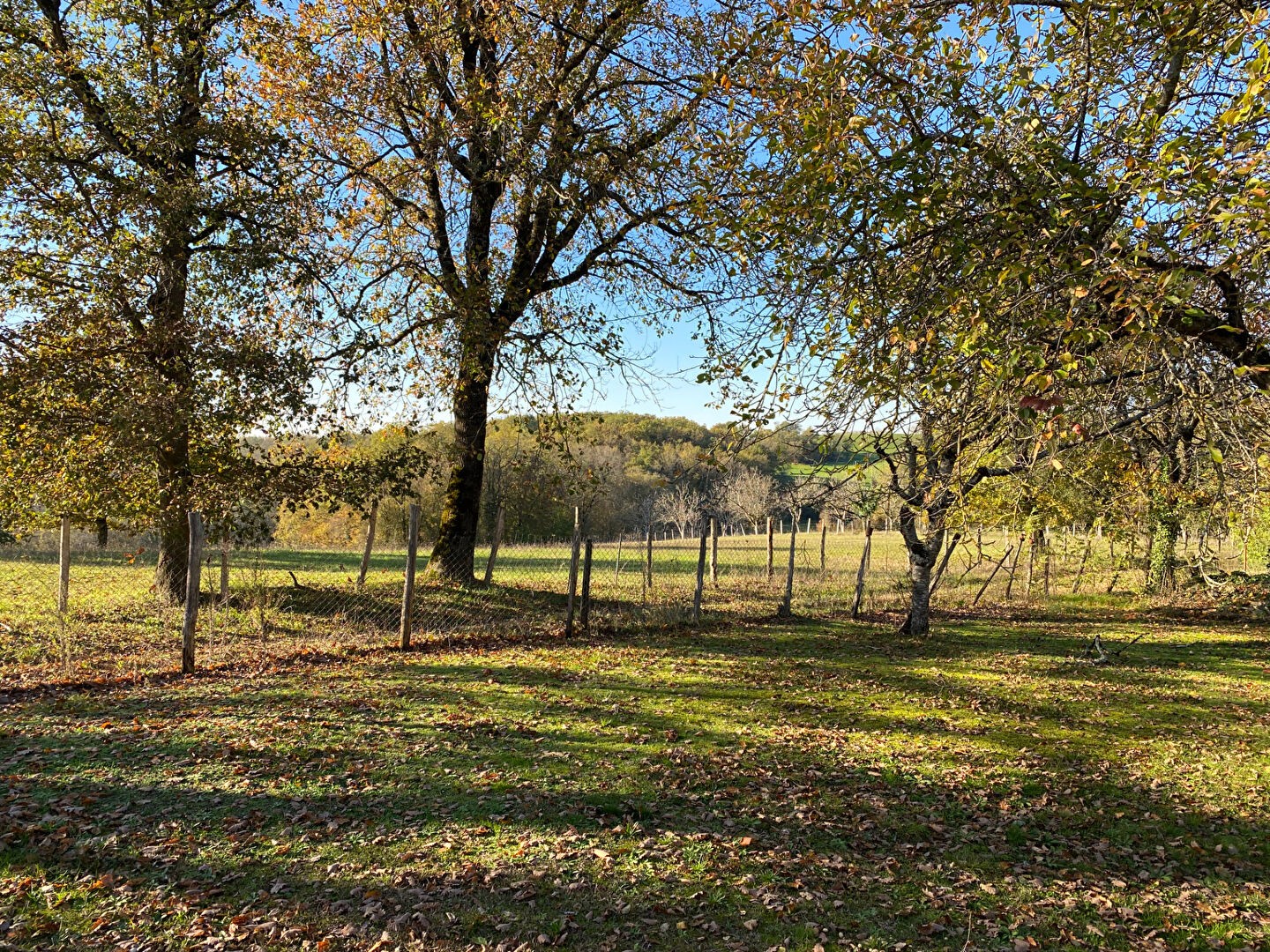 Vente Maison à Saint-Martial-de-Nabirat 7 pièces