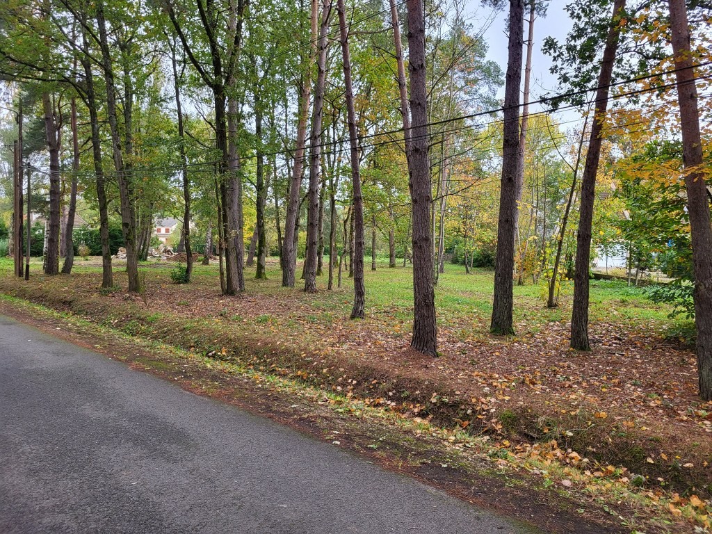 Vente Terrain à Droue-sur-Drouette 0 pièce