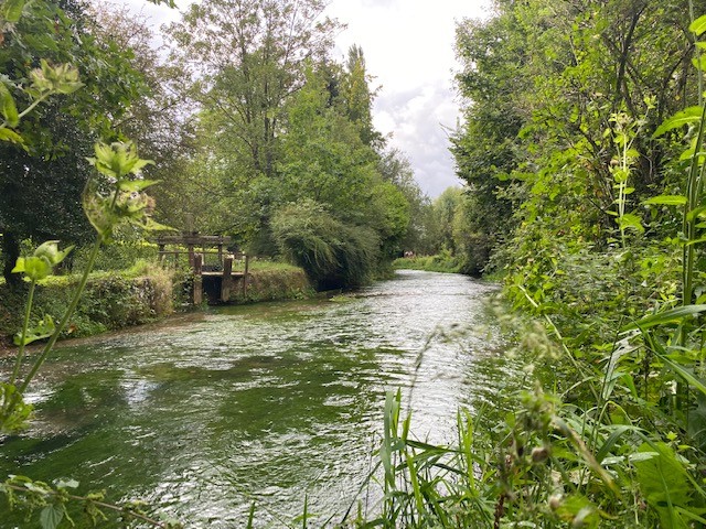 Vente Terrain à Montville 0 pièce