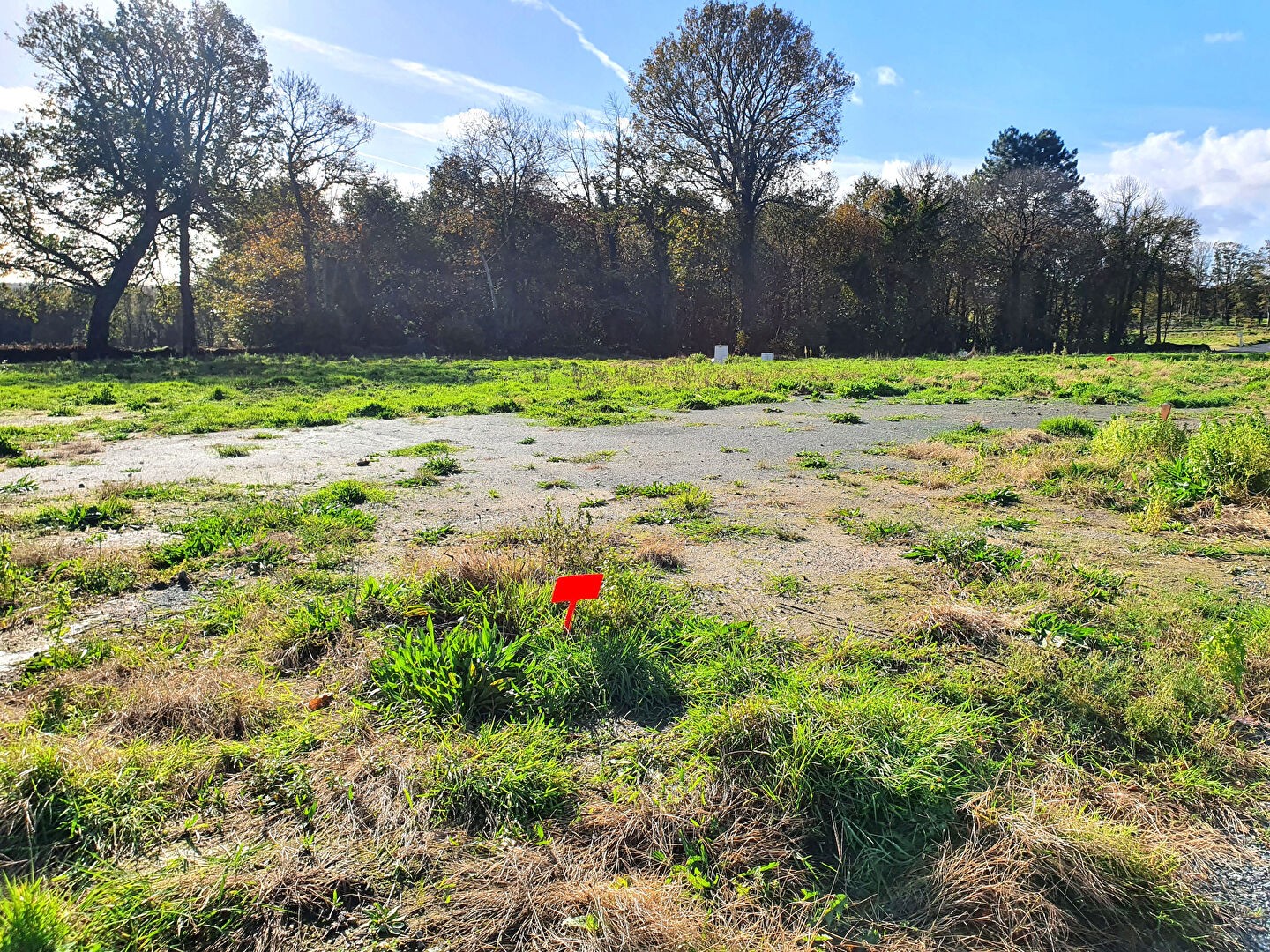 Vente Terrain à Quimper 0 pièce