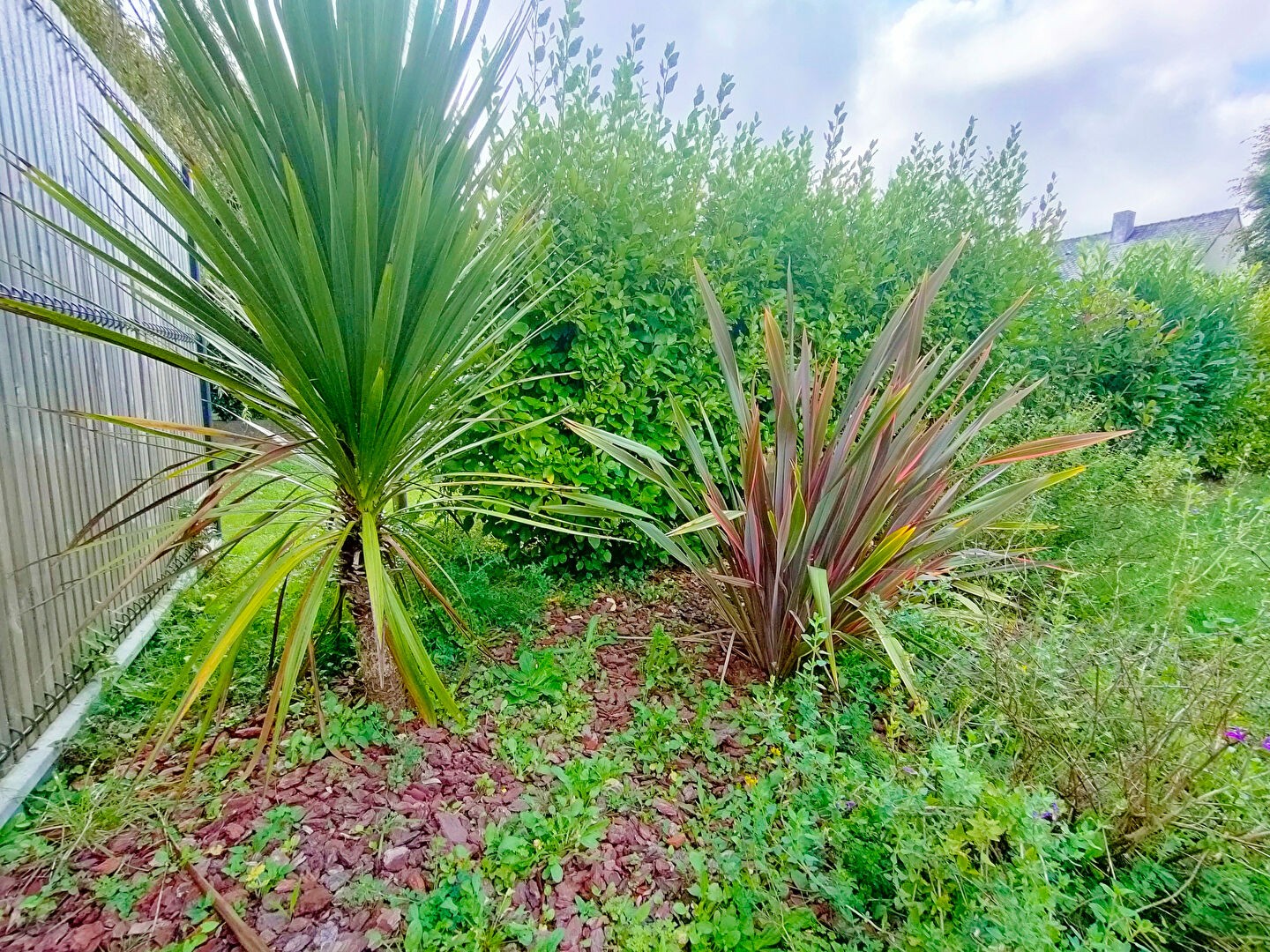 Vente Maison à la Chapelle-sur-Erdre 6 pièces