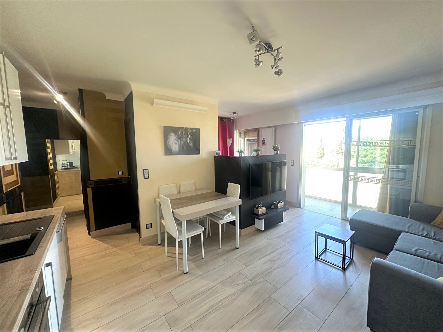 Vente Appartement à Cagnes-sur-Mer 1 pièce