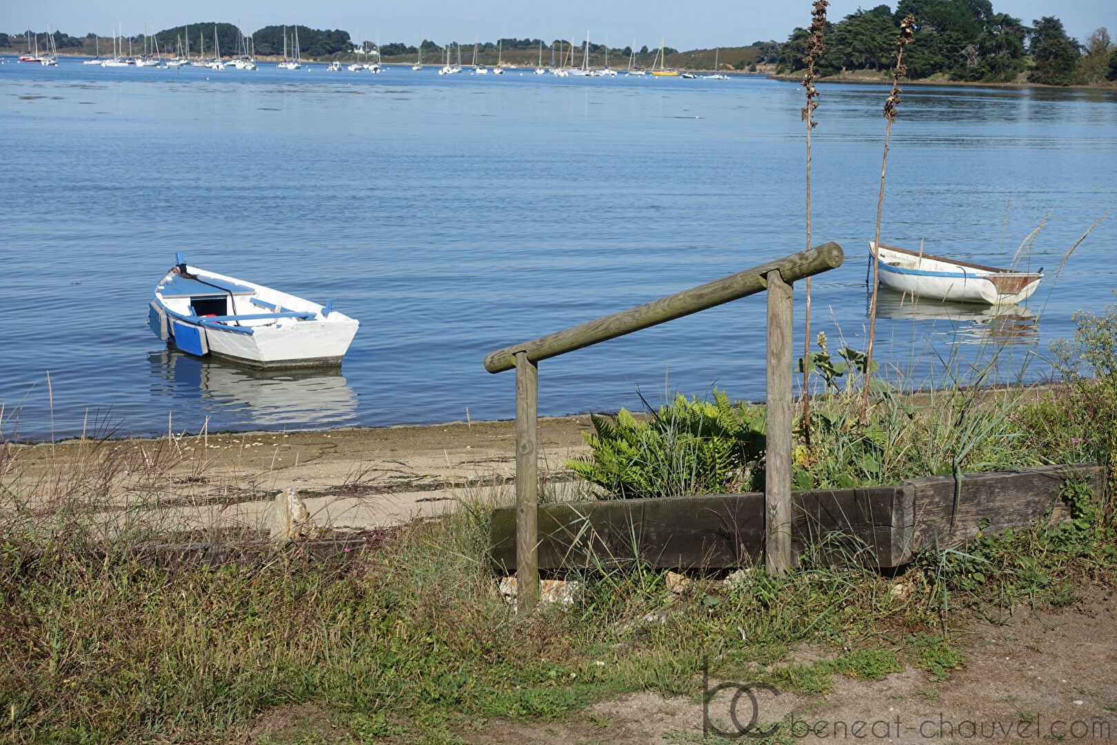 Vente Terrain à Arzon 0 pièce