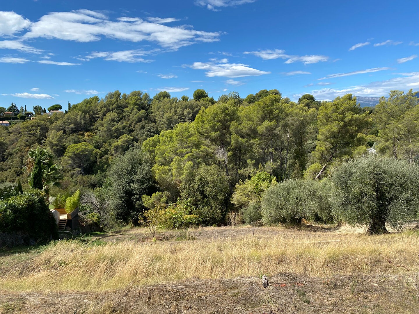 Vente Terrain à Saint-Paul-de-Vence 0 pièce