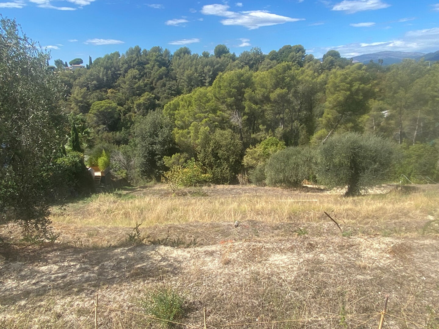 Vente Terrain à Saint-Paul-de-Vence 0 pièce