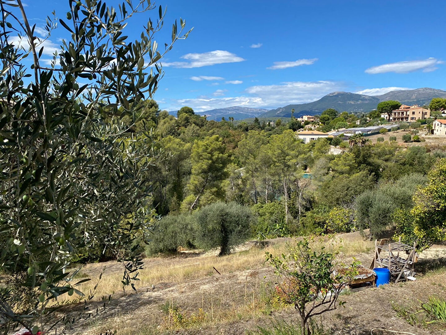 Vente Terrain à Saint-Paul-de-Vence 0 pièce