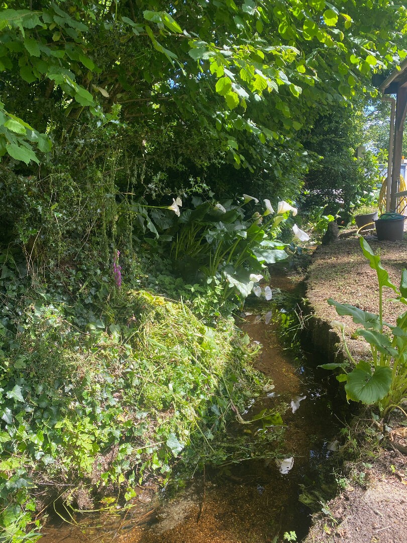 Vente Maison à Landerneau 9 pièces