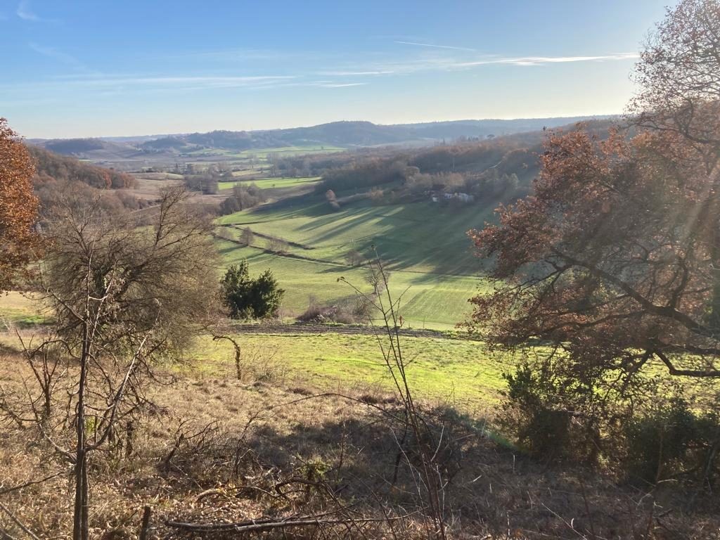 Vente Maison à Lauzerte 11 pièces