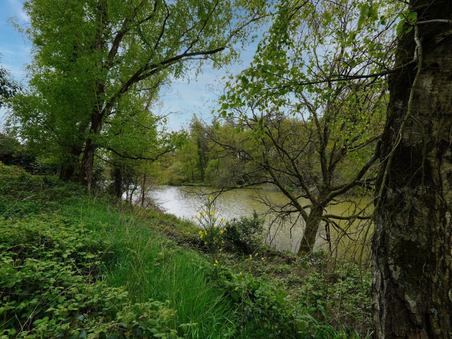 Vente Terrain à Ploërmel 4 pièces