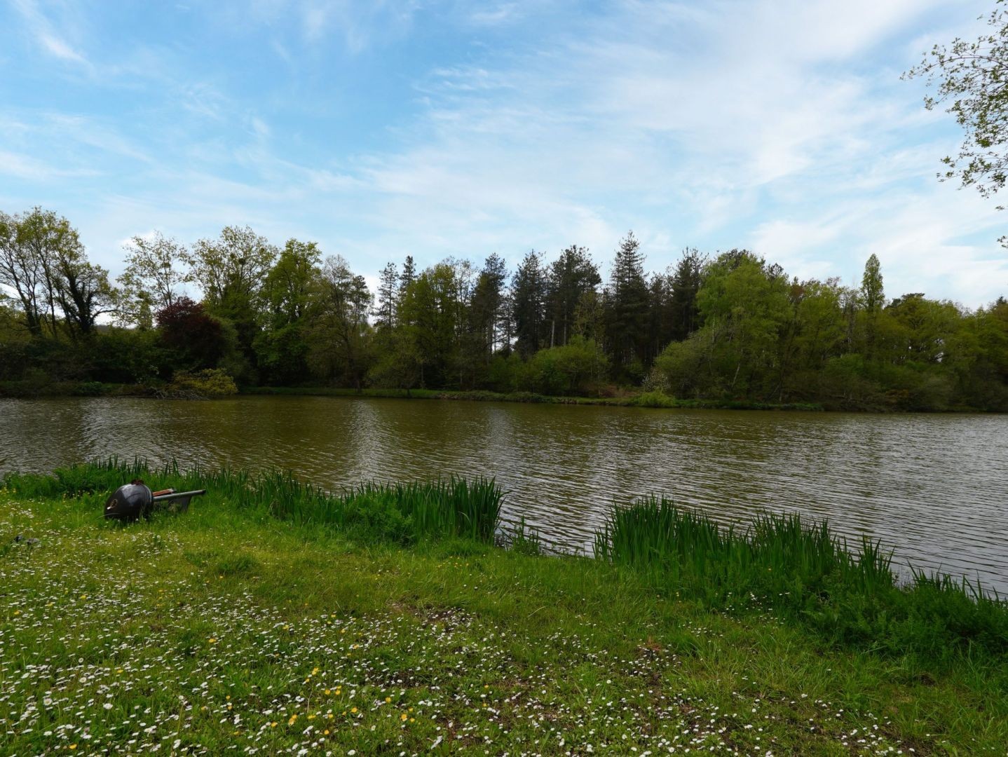 Vente Terrain à Ploërmel 4 pièces